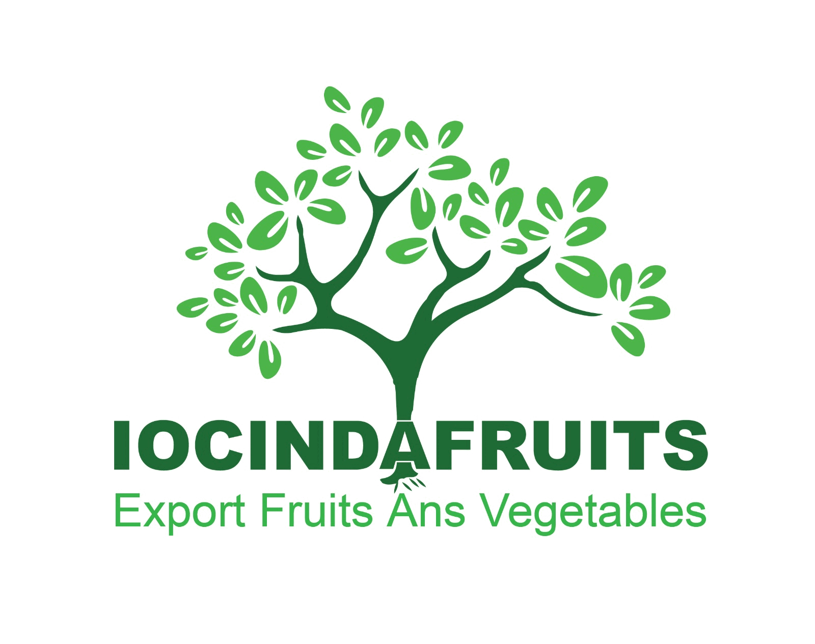 LOCINDA FRUIT logo